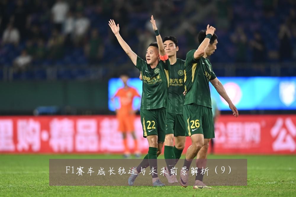 F1赛车成长轨迹与未来前景解析（9）